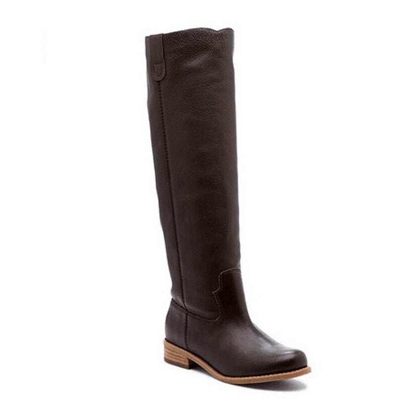 Botas De Invierno para Mujer Hasta la Rodilla